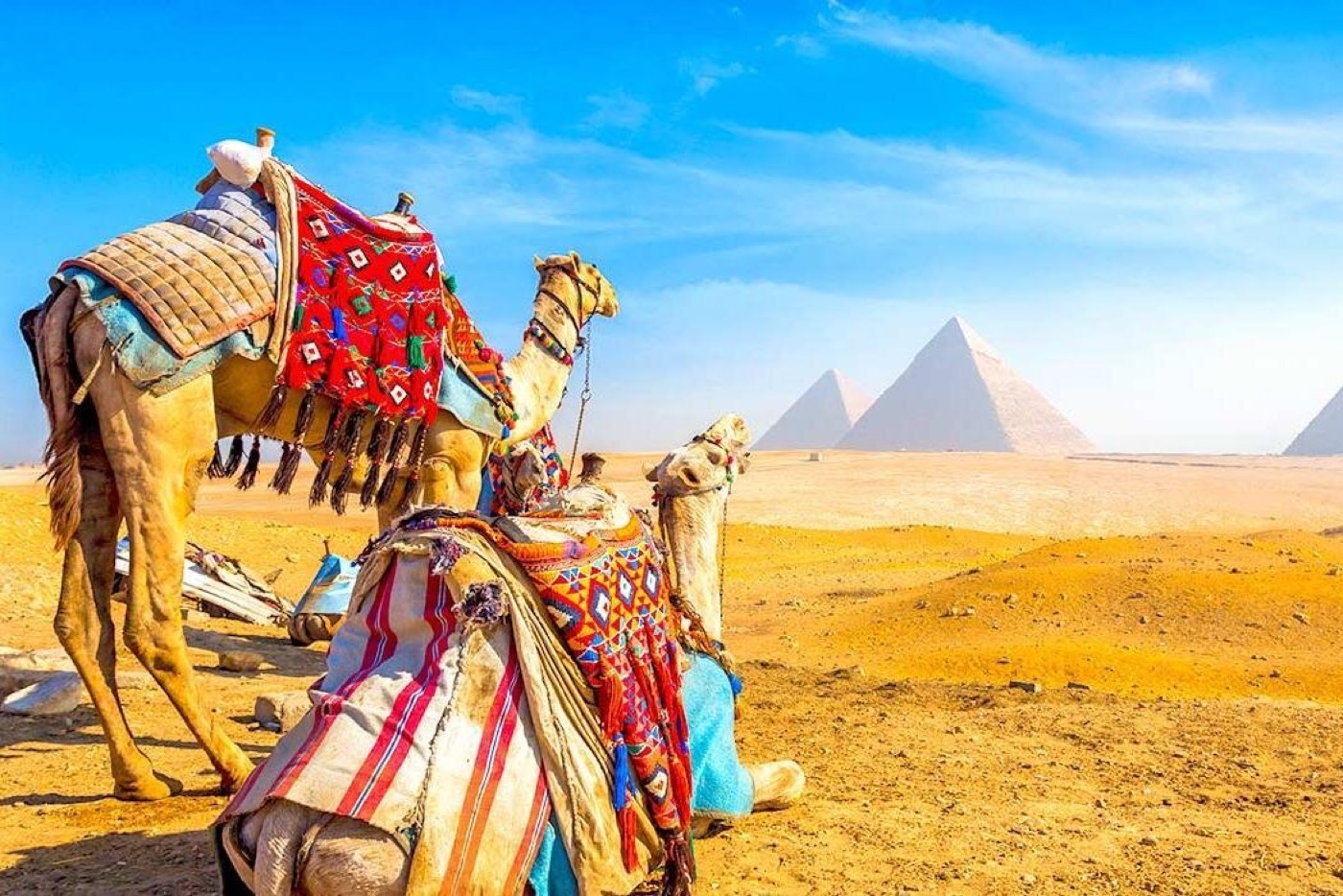 Grand Egyptian Museum