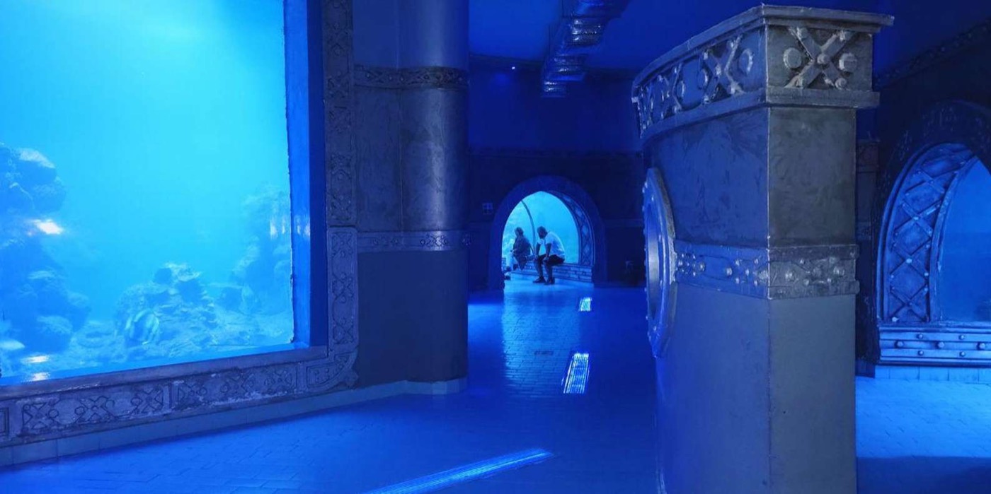 The Aquarium Grotto Garden
