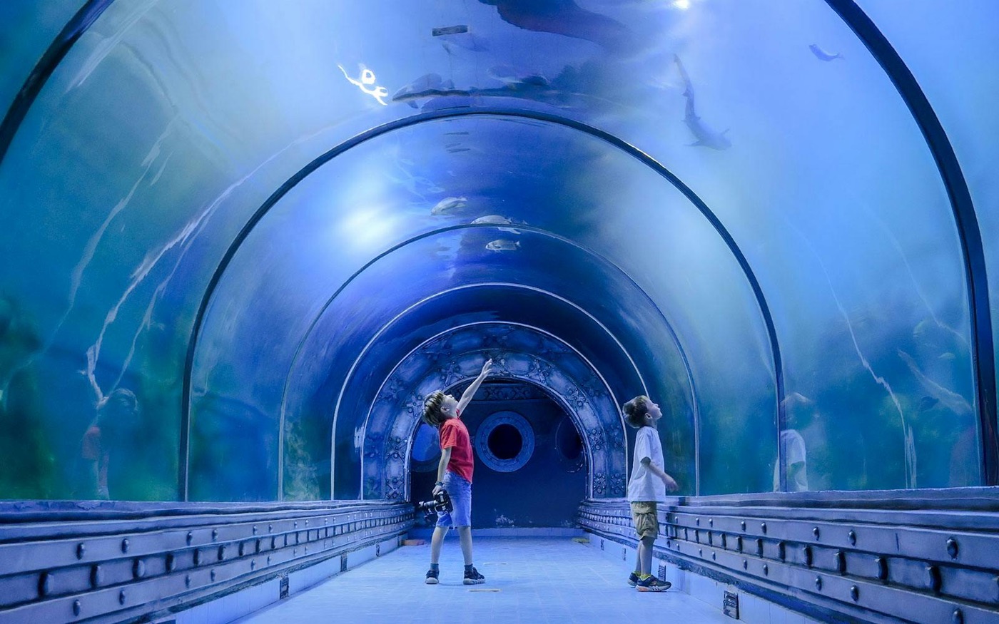 Hurghada Grand Aquarium