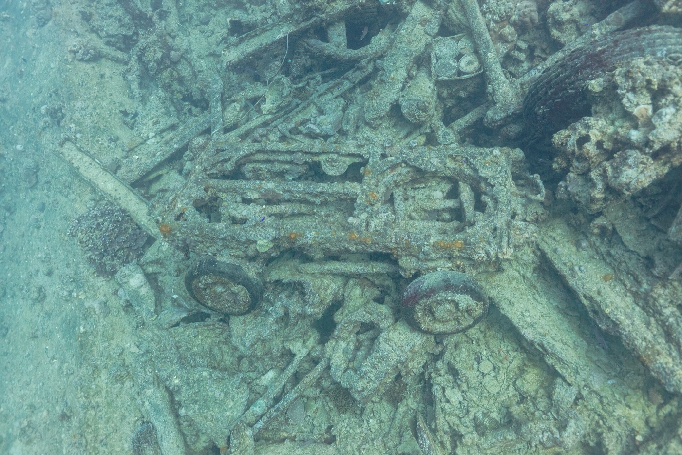 SS Thistlegorm