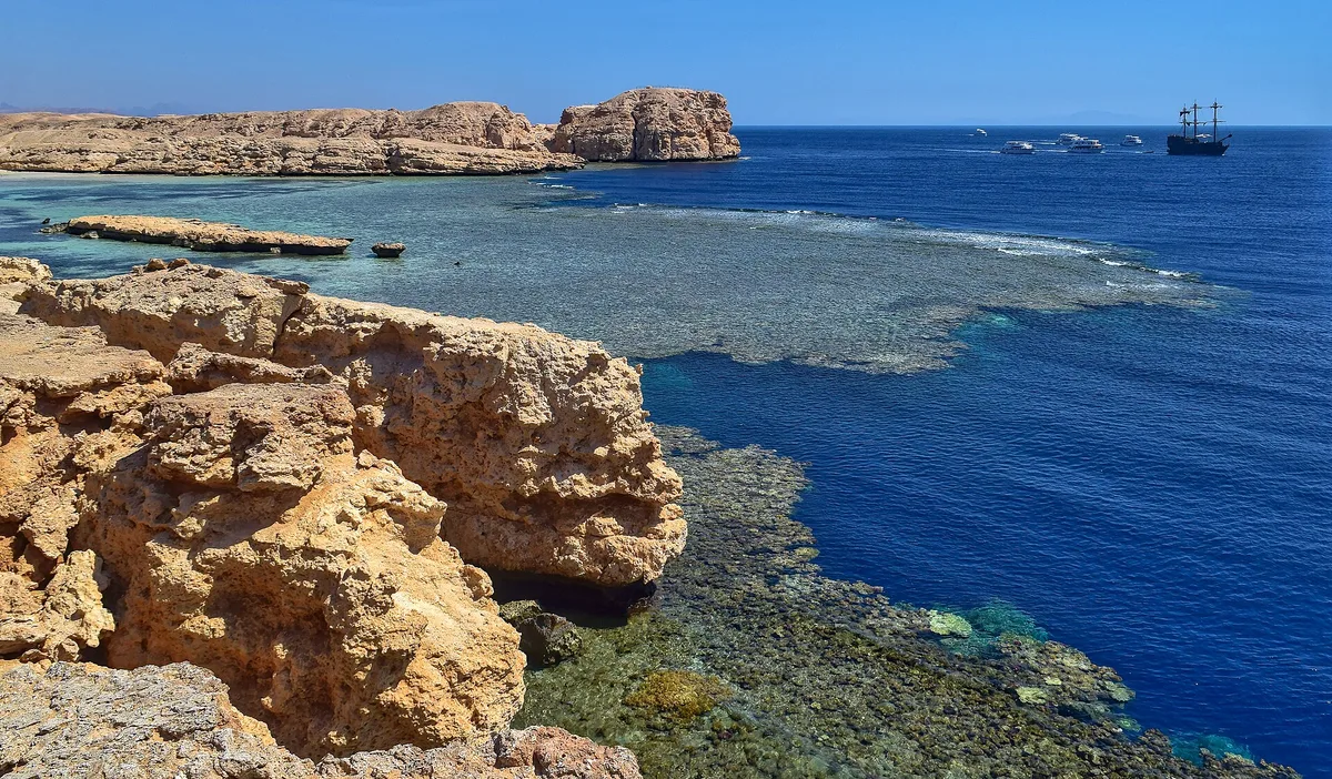Shark's Bay