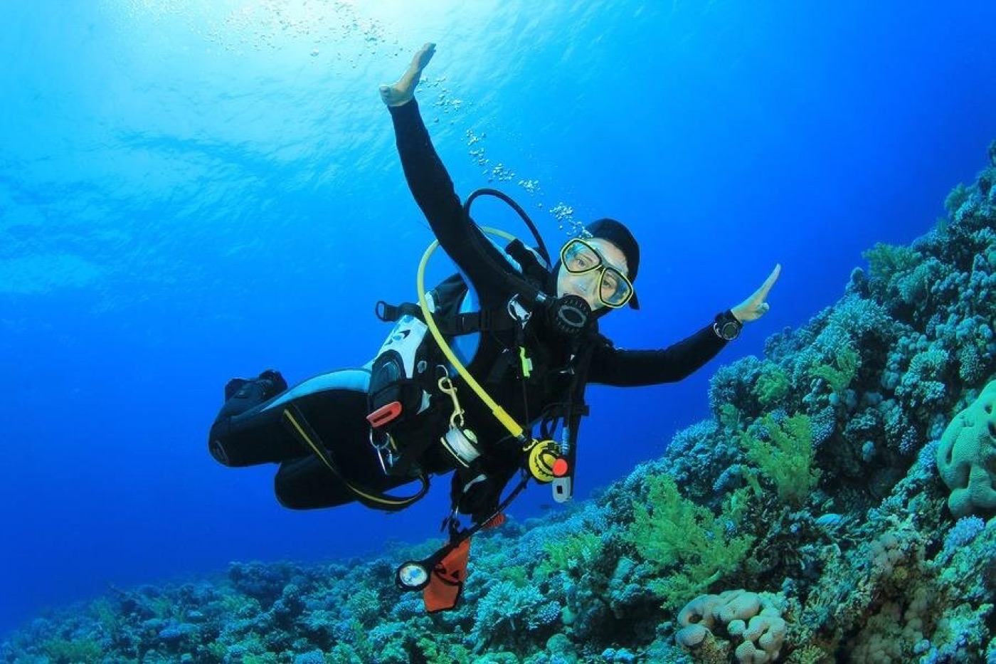 Tiran Island Dive