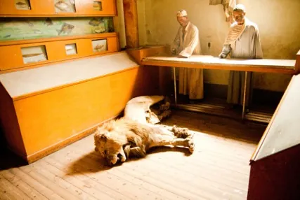 Agricultural Museum of Cairo